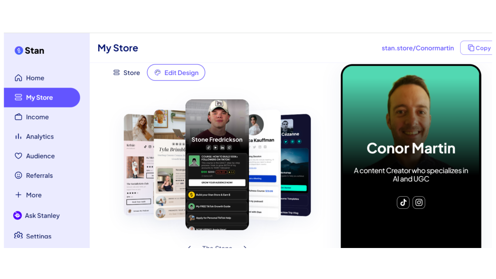 stan store theme