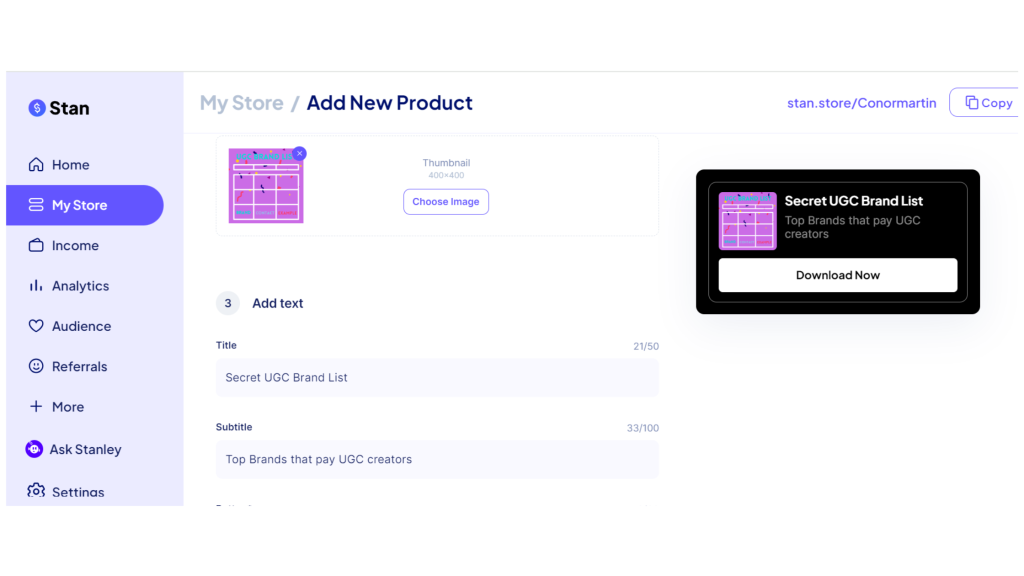 stan store digital products
